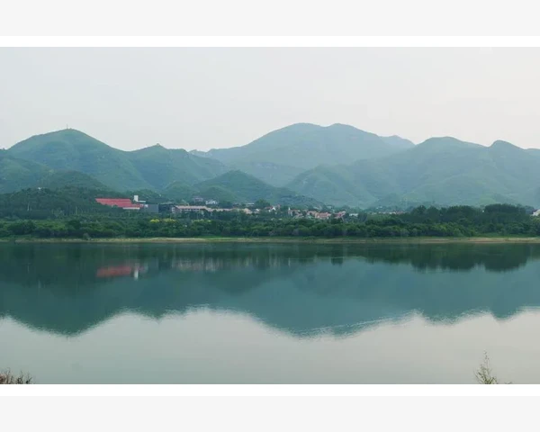 小亮仔止咳化痰颗粒：中医经典配方，守护你的呼吸健康！